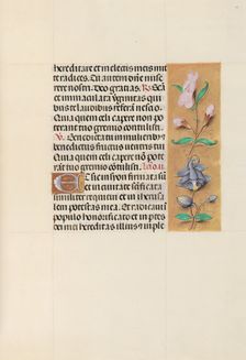 Hours of Queen Isabella the Catholic, Queen of Spain: Fol. 111r, c. 1500. Creator: Master of the First Prayerbook of Maximillian (Flemish, c. 1444-1519); Associates, and