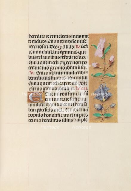 Hours of Queen Isabella the Catholic, Queen of Spain: Fol. 111r, c. 1500. Creator: Master of the First Prayerbook of Maximillian (Flemish, c. 1444-1519); Associates, and.