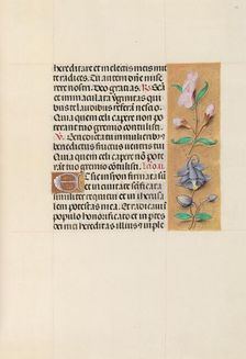 Hours of Queen Isabella the Catholic, Queen of Spain: Fol. 111r, c. 1500. Creator: Master of the First Prayerbook of Maximillian (Flemish, c. 1444-1519); Associates, and