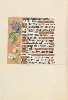 Hours of Queen Isabella the Catholic, Queen of Spain: Fol. 113v, c. 1500. Creator: Master of the First Prayerbook of Maximillian (Flemish, c. 1444-1519); Associates, and