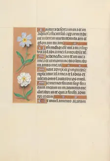 Hours of Queen Isabella the Catholic, Queen of Spain: Fol. 117v, c. 1500. Creator: Master of the First Prayerbook of Maximillian (Flemish, c. 1444-1519); Associates, and