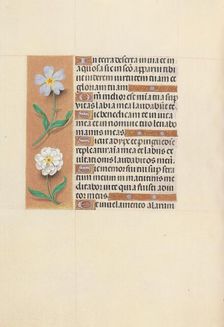 Hours of Queen Isabella the Catholic, Queen of Spain: Fol. 117v, c. 1500. Creator: Master of the First Prayerbook of Maximillian (Flemish, c. 1444-1519); Associates, and