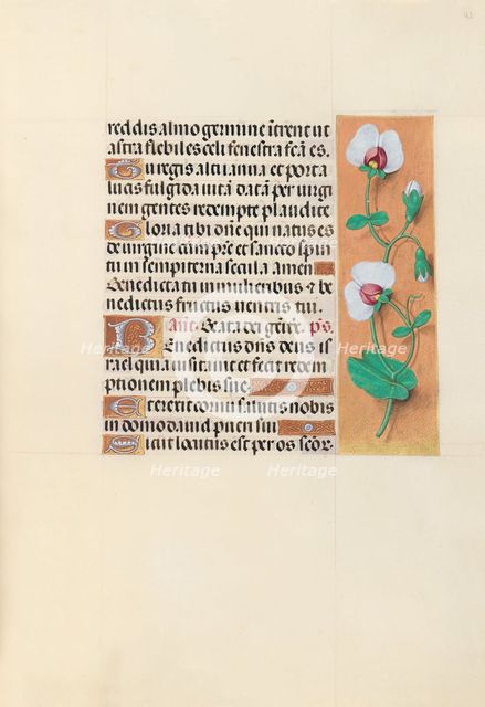 Hours of Queen Isabella the Catholic, Queen of Spain: Fol. 123r, c. 1500. Creator: Master of the First Prayerbook of Maximillian (Flemish, c. 1444-1519); Associates, and.