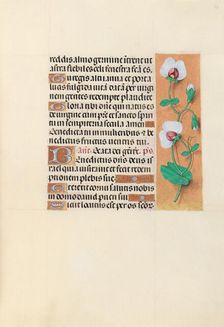 Hours of Queen Isabella the Catholic, Queen of Spain: Fol. 123r, c. 1500. Creator: Master of the First Prayerbook of Maximillian (Flemish, c. 1444-1519); Associates, and