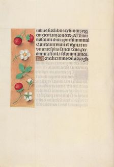 Hours of Queen Isabella the Catholic, Queen of Spain: Fol. 125v, c. 1500. Creator: Master of the First Prayerbook of Maximillian (Flemish, c. 1444-1519); Associates, and