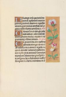 Hours of Queen Isabella the Catholic, Queen of Spain: Fol. 125r, c. 1500. Creator: Master of the First Prayerbook of Maximillian (Flemish, c. 1444-1519); Associates, and