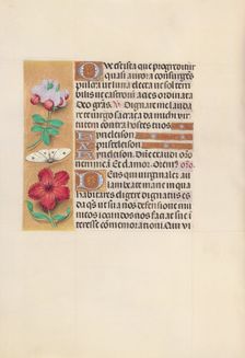 Hours of Queen Isabella the Catholic, Queen of Spain: Fol. 129v, c. 1500. Creator: Master of the First Prayerbook of Maximillian (Flemish, c. 1444-1519); Associates, and