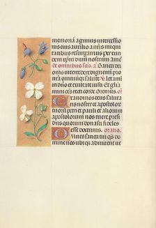 Hours of Queen Isabella the Catholic, Queen of Spain: Fol. 139v, c. 1500. Creator: Master of the First Prayerbook of Maximillian (Flemish, c. 1444-1519); Associates, and