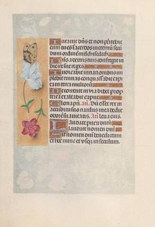 Hours of Queen Isabella the Catholic, Queen of Spain: Fol. 147v, c. 1500. Creator: Master of the First Prayerbook of Maximillian (Flemish, c. 1444-1519); Associates, and