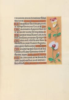 Hours of Queen Isabella the Catholic, Queen of Spain: Fol. 150r, c. 1500. Creator: Master of the First Prayerbook of Maximillian (Flemish, c. 1444-1519); Associates, and