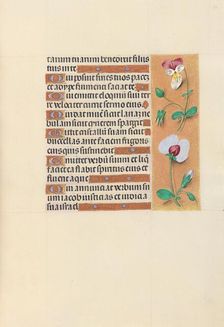 Hours of Queen Isabella the Catholic, Queen of Spain: Fol. 150r, c. 1500. Creator: Master of the First Prayerbook of Maximillian (Flemish, c. 1444-1519); Associates, and