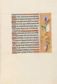 Hours of Queen Isabella the Catholic, Queen of Spain: Fol. 156r, c. 1500. Creator: Master of the First Prayerbook of Maximillian (Flemish, c. 1444-1519); Associates, and
