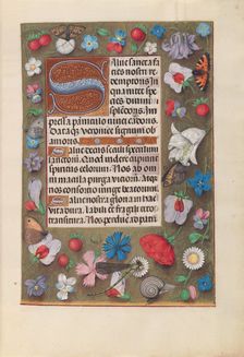 Hours of Queen Isabella the Catholic, Queen of Spain: Fol. 15r, c. 1500. Creator: Master of the First Prayerbook of Maximillian (Flemish, c. 1444-1519); Associates, and