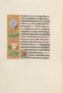 Hours of Queen Isabella the Catholic, Queen of Spain: Fol. 162v, c. 1500. Creator: Master of the First Prayerbook of Maximillian (Flemish, c. 1444-1519); Associates, and