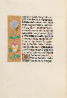 Hours of Queen Isabella the Catholic, Queen of Spain: Fol. 162v, c. 1500. Creator: Master of the First Prayerbook of Maximillian (Flemish, c. 1444-1519); Associates, and