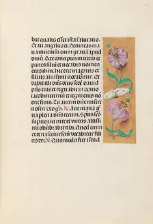 Hours of Queen Isabella the Catholic, Queen of Spain: Fol. 163r, c. 1500. Creator: Master of the First Prayerbook of Maximillian (Flemish, c. 1444-1519); Associates, and
