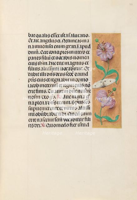 Hours of Queen Isabella the Catholic, Queen of Spain: Fol. 163r, c. 1500. Creator: Master of the First Prayerbook of Maximillian (Flemish, c. 1444-1519); Associates, and.