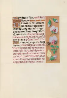 Hours of Queen Isabella the Catholic, Queen of Spain: Fol. 165r, c. 1500. Creator: Master of the First Prayerbook of Maximillian (Flemish, c. 1444-1519); Associates, and