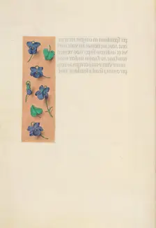 Hours of Queen Isabella the Catholic, Queen of Spain: Fol. 16v, Short Border…, c. 1500. Creator: Master of the First Prayerbook of Maximillian (Flemish, c. 1444-1519); Associates, and