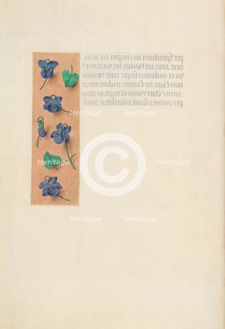 Hours of Queen Isabella the Catholic, Queen of Spain: Fol. 16v, Short Border…, c. 1500. Creator: Master of the First Prayerbook of Maximillian (Flemish, c. 1444-1519); Associates, and.