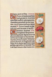 Hours of Queen Isabella the Catholic, Queen of Spain: Fol. 19r, c. 1500. Creator: Master of the First Prayerbook of Maximillian (Flemish, c. 1444-1519); Associates, and