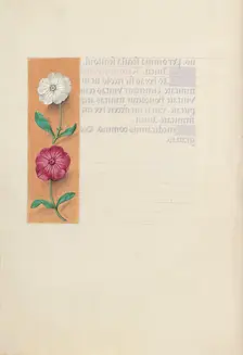 Hours of Queen Isabella the Catholic, Queen of Spain: Fol. 23v, c. 1500. Creator: Master of the First Prayerbook of Maximillian (Flemish, c. 1444-1519); Associates, and