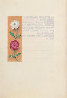 Hours of Queen Isabella the Catholic, Queen of Spain: Fol. 23v, c. 1500. Creator: Master of the First Prayerbook of Maximillian (Flemish, c. 1444-1519); Associates, and