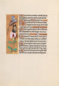 Hours of Queen Isabella the Catholic, Queen of Spain: Fol. 202v, c. 1500. Creator: Master of the First Prayerbook of Maximillian (Flemish, c. 1444-1519); Associates, and