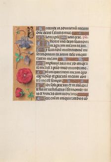 Hours of Queen Isabella the Catholic, Queen of Spain: Fol. 204v, c. 1500. Creator: Master of the First Prayerbook of Maximillian (Flemish, c. 1444-1519); Associates, and