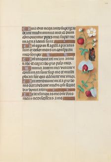 Hours of Queen Isabella the Catholic, Queen of Spain: Fol. 204r, c. 1500. Creator: Master of the First Prayerbook of Maximillian (Flemish, c. 1444-1519); Associates, and