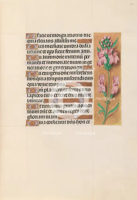 Hours of Queen Isabella the Catholic, Queen of Spain: Fol. 207r, c. 1500. Creator: Master of the First Prayerbook of Maximillian (Flemish, c. 1444-1519); Associates, and.