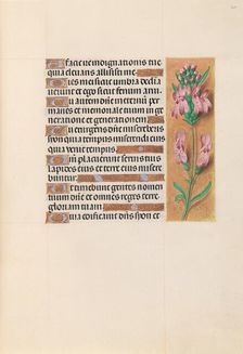 Hours of Queen Isabella the Catholic, Queen of Spain: Fol. 207r, c. 1500. Creator: Master of the First Prayerbook of Maximillian (Flemish, c. 1444-1519); Associates, and