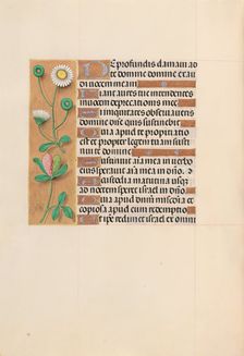 Hours of Queen Isabella the Catholic, Queen of Spain: Fol. 208v, c. 1500. Creator: Master of the First Prayerbook of Maximillian (Flemish, c. 1444-1519); Associates, and