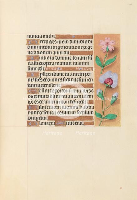 Hours of Queen Isabella the Catholic, Queen of Spain: Fol. 208r, c. 1500. Creator: Master of the First Prayerbook of Maximillian (Flemish, c. 1444-1519); Associates, and.