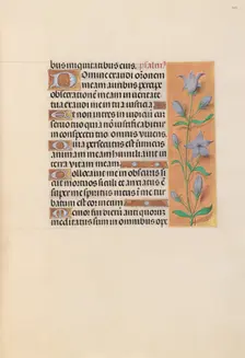 Hours of Queen Isabella the Catholic, Queen of Spain: Fol. 209r, c. 1500. Creator: Master of the First Prayerbook of Maximillian (Flemish, c. 1444-1519); Associates, and