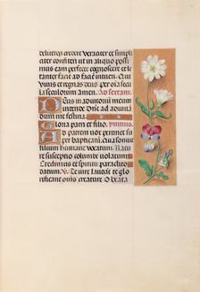 Hours of Queen Isabella the Catholic, Queen of Spain: Fol. 20r, c. 1500. Creator: Master of the First Prayerbook of Maximillian (Flemish, c. 1444-1519); Associates, and