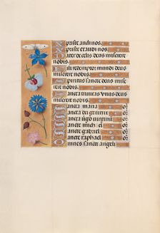 Hours of Queen Isabella the Catholic, Queen of Spain: Fol. 210v, c. 1500. Creator: Master of the First Prayerbook of Maximillian (Flemish, c. 1444-1519); Associates, and