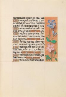 Hours of Queen Isabella the Catholic, Queen of Spain: Fol. 214r, c. 1500. Creator: Master of the First Prayerbook of Maximillian (Flemish, c. 1444-1519); Associates, and