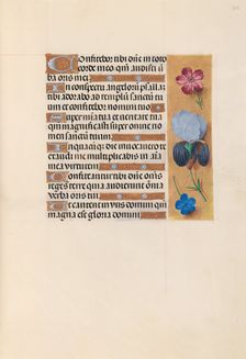 Hours of Queen Isabella the Catholic, Queen of Spain: Fol. 223r, c. 1500. Creator: Master of the First Prayerbook of Maximillian (Flemish, c. 1444-1519); Associates, and