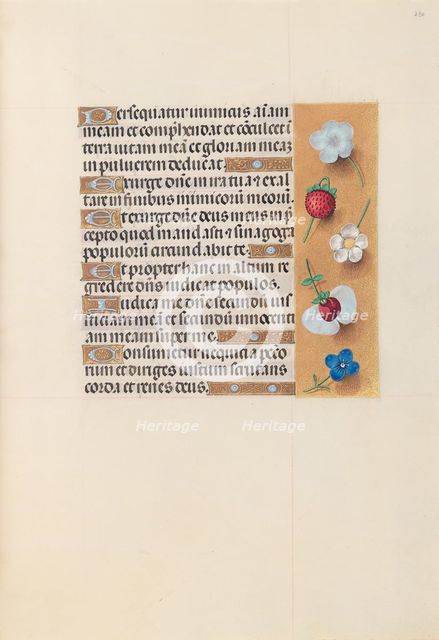 Hours of Queen Isabella the Catholic, Queen of Spain: Fol. 230r, c. 1500. Creator: Master of the First Prayerbook of Maximillian (Flemish, c. 1444-1519); Associates, and.