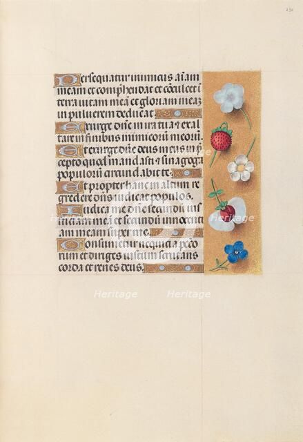 Hours of Queen Isabella the Catholic, Queen of Spain: Fol. 230r, c. 1500. Creator: Master of the First Prayerbook of Maximillian (Flemish, c. 1444-1519); Associates, and.
