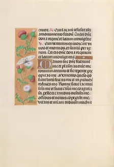 Hours of Queen Isabella the Catholic, Queen of Spain: Fol. 232v, c. 1500. Creator: Master of the First Prayerbook of Maximillian (Flemish, c. 1444-1519); Associates, and