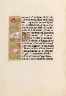 Hours of Queen Isabella the Catholic, Queen of Spain: Fol. 232v, c. 1500. Creator: Master of the First Prayerbook of Maximillian (Flemish, c. 1444-1519); Associates, and