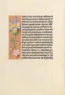 Hours of Queen Isabella the Catholic, Queen of Spain: Fol. 237v, c. 1500. Creator: Master of the First Prayerbook of Maximillian (Flemish, c. 1444-1519); Associates, and