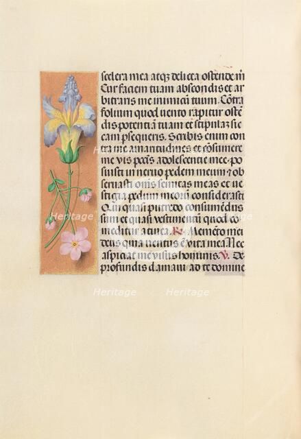 Hours of Queen Isabella the Catholic, Queen of Spain: Fol. 237v, c. 1500. Creator: Master of the First Prayerbook of Maximillian (Flemish, c. 1444-1519); Associates, and.
