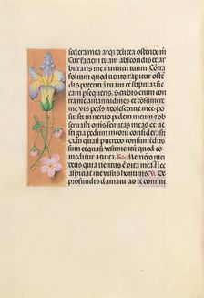 Hours of Queen Isabella the Catholic, Queen of Spain: Fol. 237v, c. 1500. Creator: Master of the First Prayerbook of Maximillian (Flemish, c. 1444-1519); Associates, and