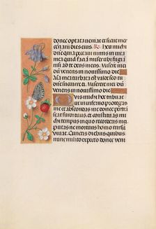 Hours of Queen Isabella the Catholic, Queen of Spain: Fol. 238v, c. 1500. Creator: Master of the First Prayerbook of Maximillian (Flemish, c. 1444-1519); Associates, and