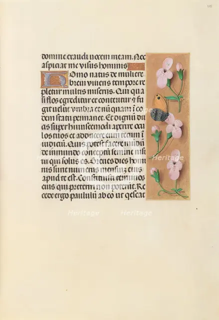Hours of Queen Isabella the Catholic, Queen of Spain: Fol. 238r, c. 1500. Creator: Master of the First Prayerbook of Maximillian (Flemish, c. 1444-1519); Associates, and.