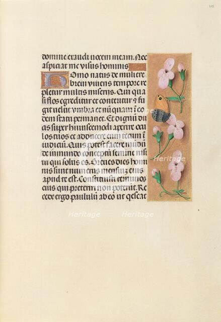 Hours of Queen Isabella the Catholic, Queen of Spain: Fol. 238r, c. 1500. Creator: Master of the First Prayerbook of Maximillian (Flemish, c. 1444-1519); Associates, and.