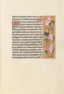 Hours of Queen Isabella the Catholic, Queen of Spain: Fol. 238r, c. 1500. Creator: Master of the First Prayerbook of Maximillian (Flemish, c. 1444-1519); Associates, and